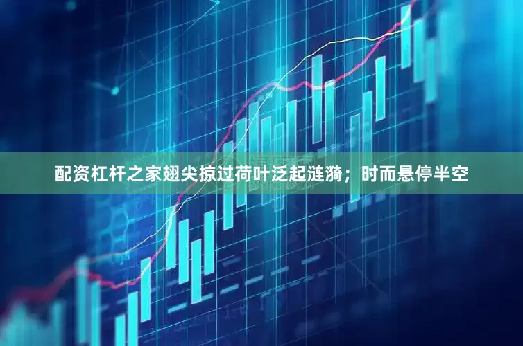 配资杠杆之家翅尖掠过荷叶泛起涟漪；时而悬停半空