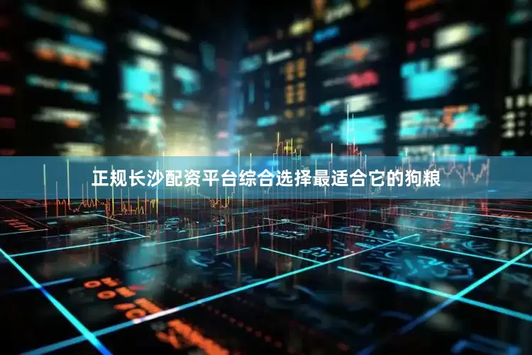 正规长沙配资平台综合选择最适合它的狗粮