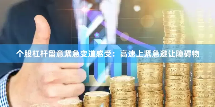 个股杠杆留意紧急变道感受：高速上紧急避让障碍物