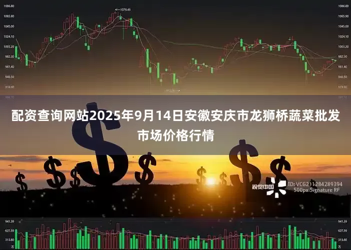 配资查询网站2025年9月14日安徽安庆市龙狮桥蔬菜批发市场价格行情