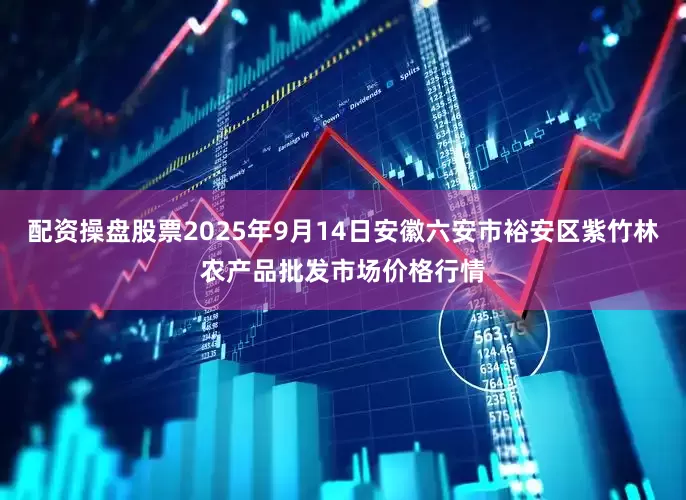 配资操盘股票2025年9月14日安徽六安市裕安区紫竹林农产品批发市场价格行情