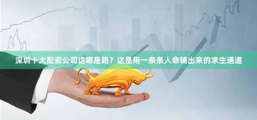 深圳十大配资公司这哪是路？这是用一条条人命铺出来的求生通道